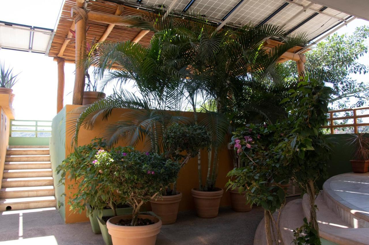 Mboutique Hotel Sayulita Exteriör bild
